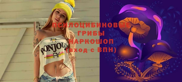 ECSTASY Бронницы