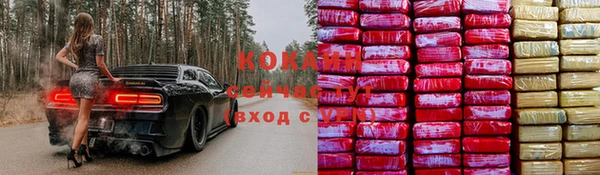 стаф Бугульма