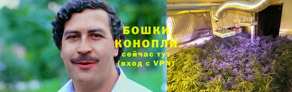 марки nbome Бородино