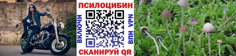 kraken сайт  Обнинск  Галлюциногенные грибы GOLDEN TEACHER 